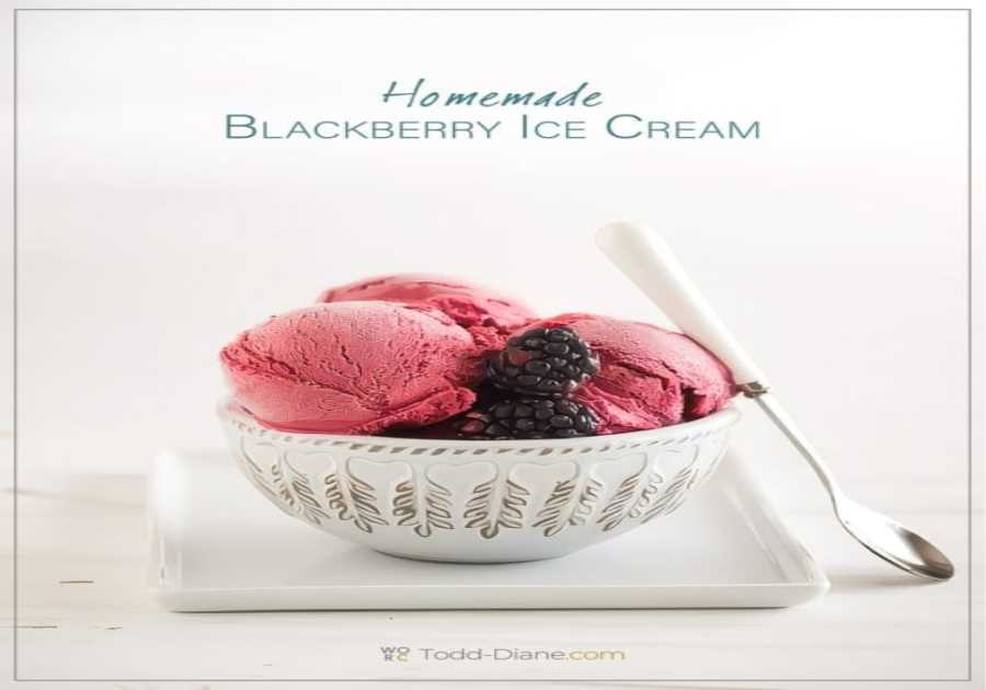 Freaking Great Home Made Blackberry Gelato