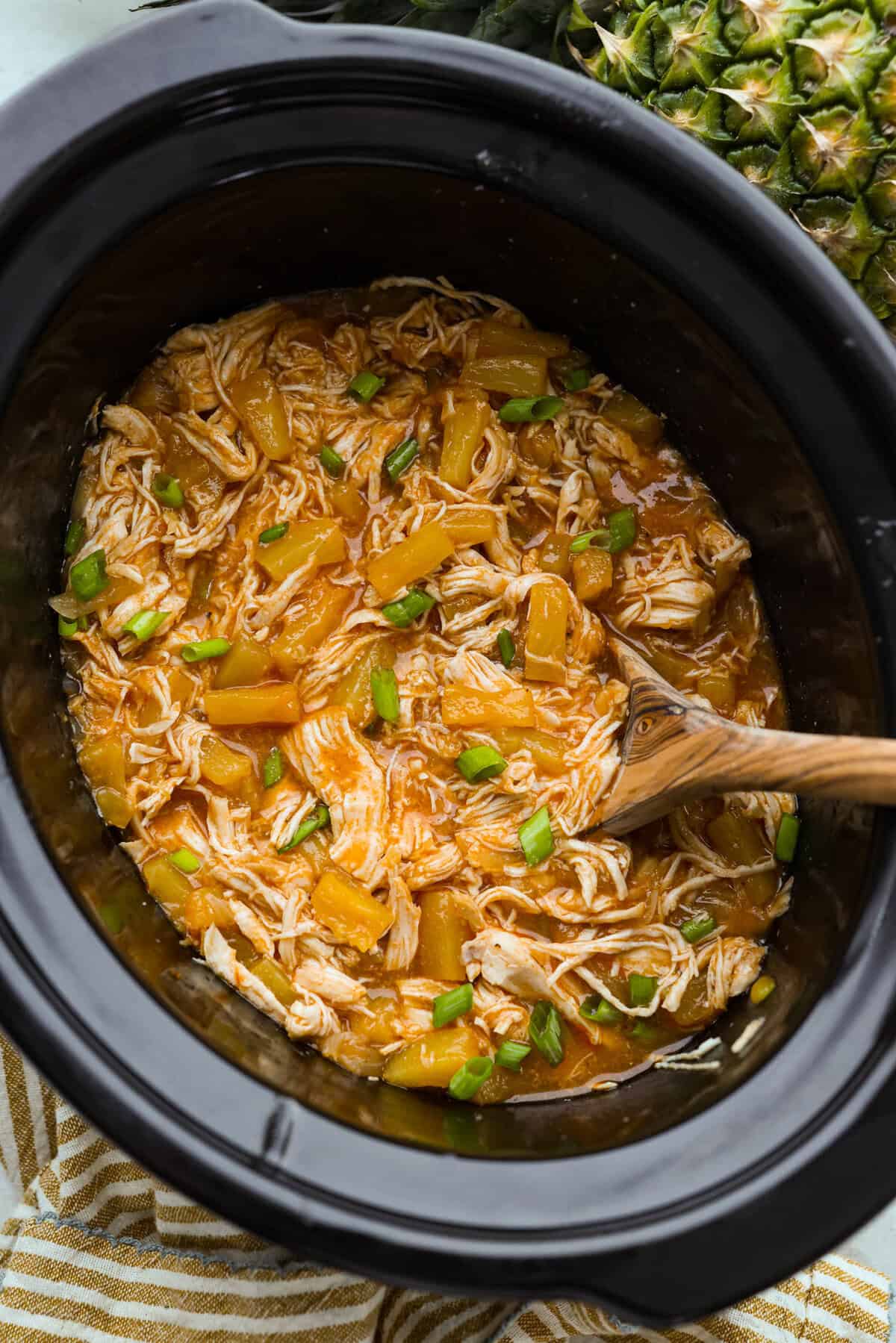Crockpot Hen Pasta