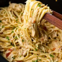 Crockpot Hen Pasta