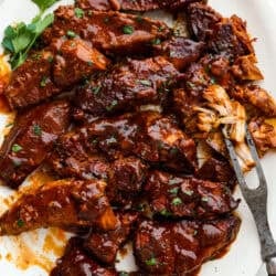 Weekly Dish Plan # 101.