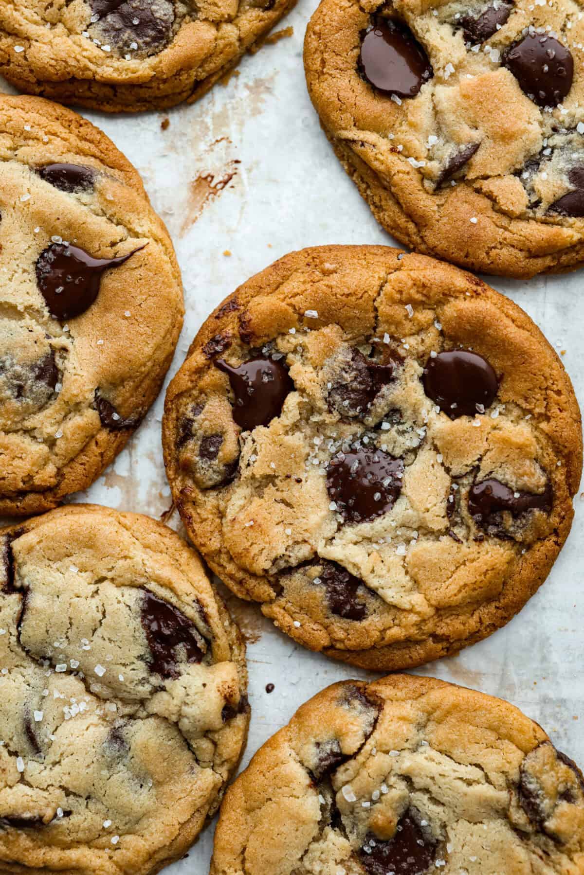 Top down shot of the Jacques Torres chocolate chip cookies.