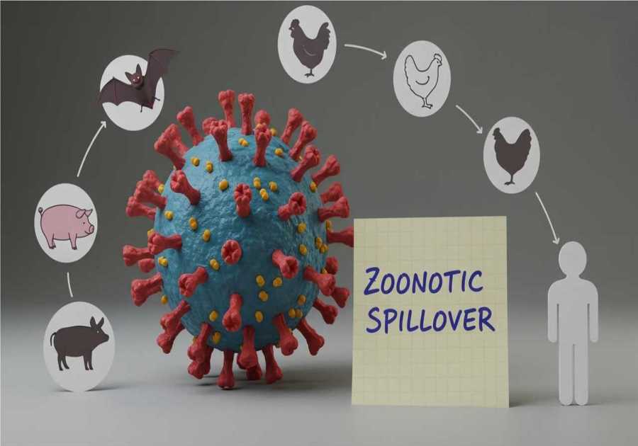 The Sunday Edition: Zoonoses