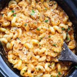 Crockpot Creamy Poultry Pasta