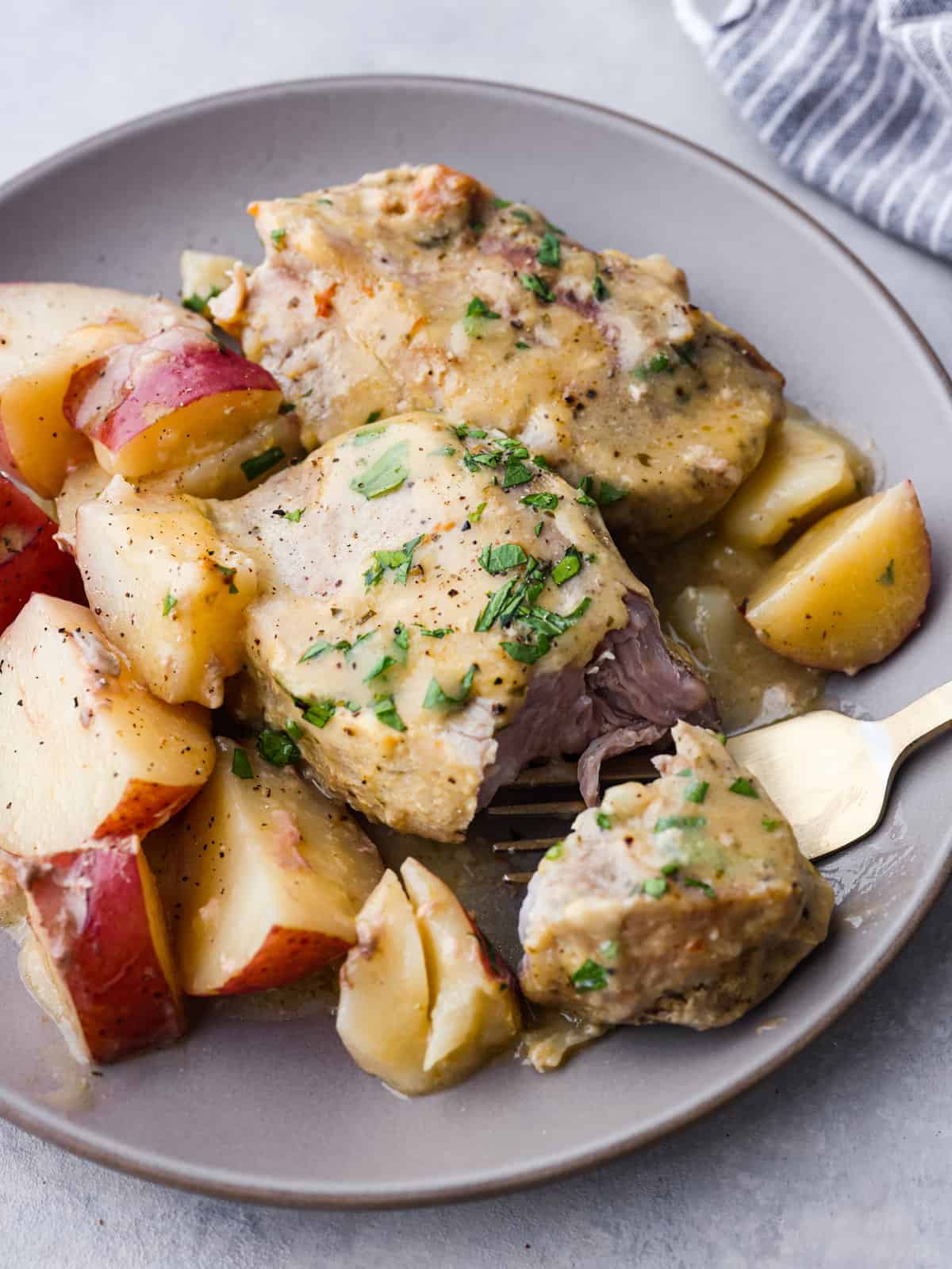 Slow Stove Creamy Ranch Pork Chops