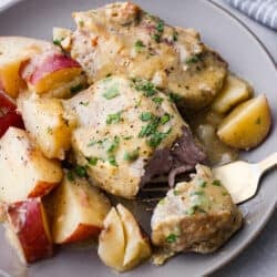 Slow Stove Creamy Ranch Pork Chops