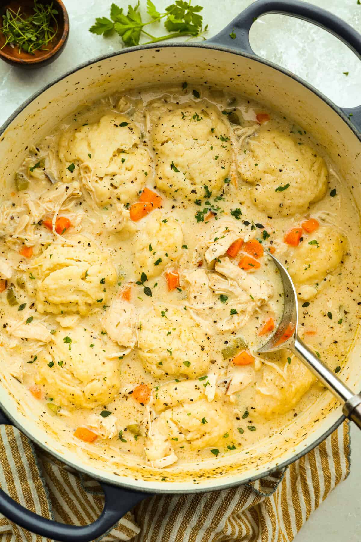 Chicken and Dumpling Soup