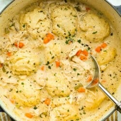 Chicken and Dumpling Soup