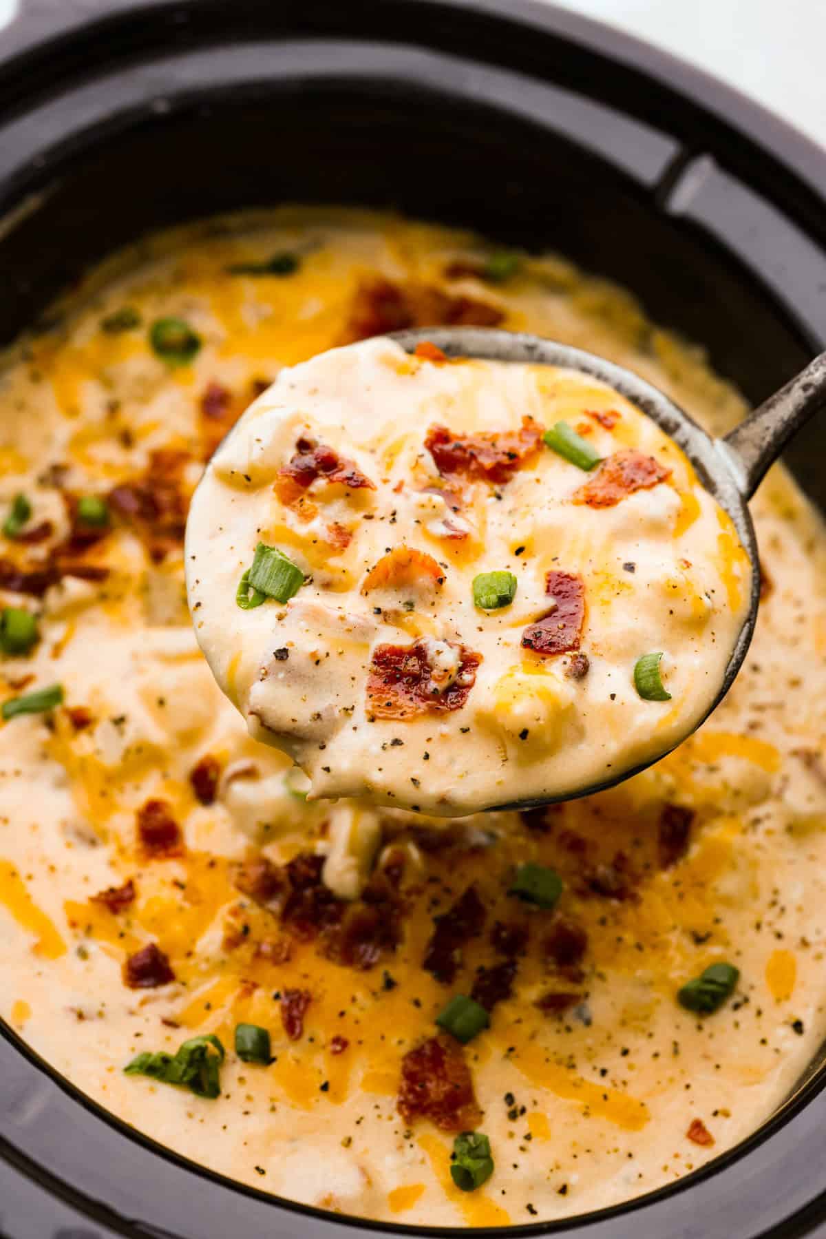 Chicken and Dumpling Soup