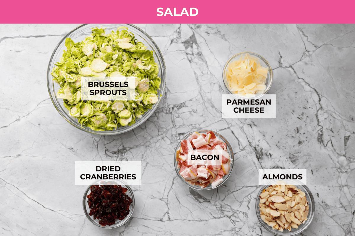 Overhead shot of labeled Brussel's sprouts salad ingredients.