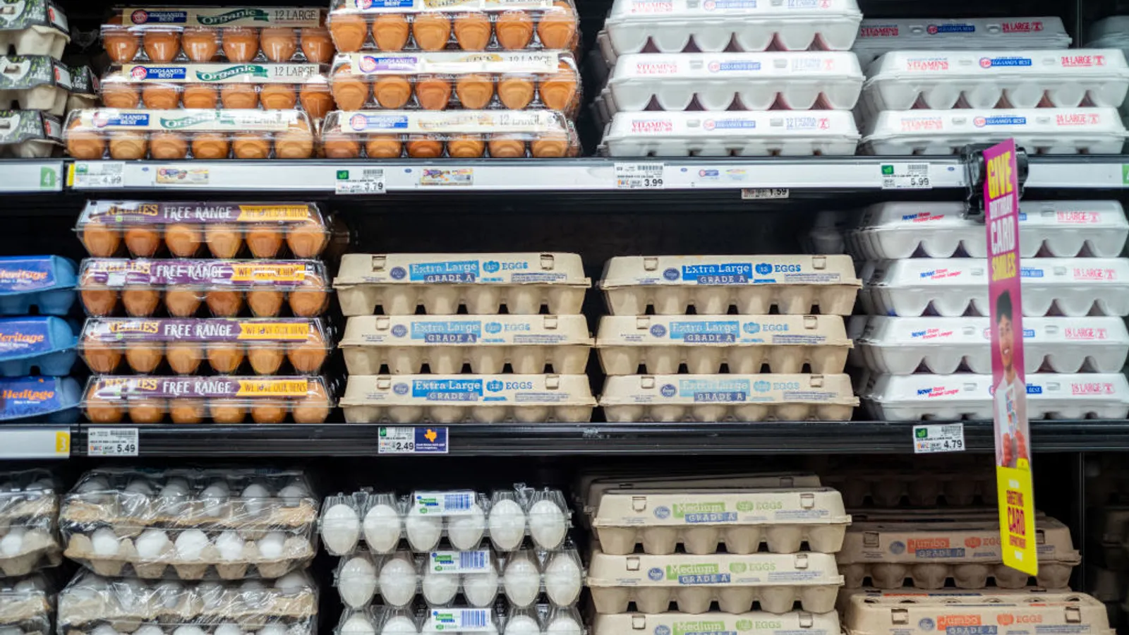 Cal-Maine points to egg supply, demand rebalance