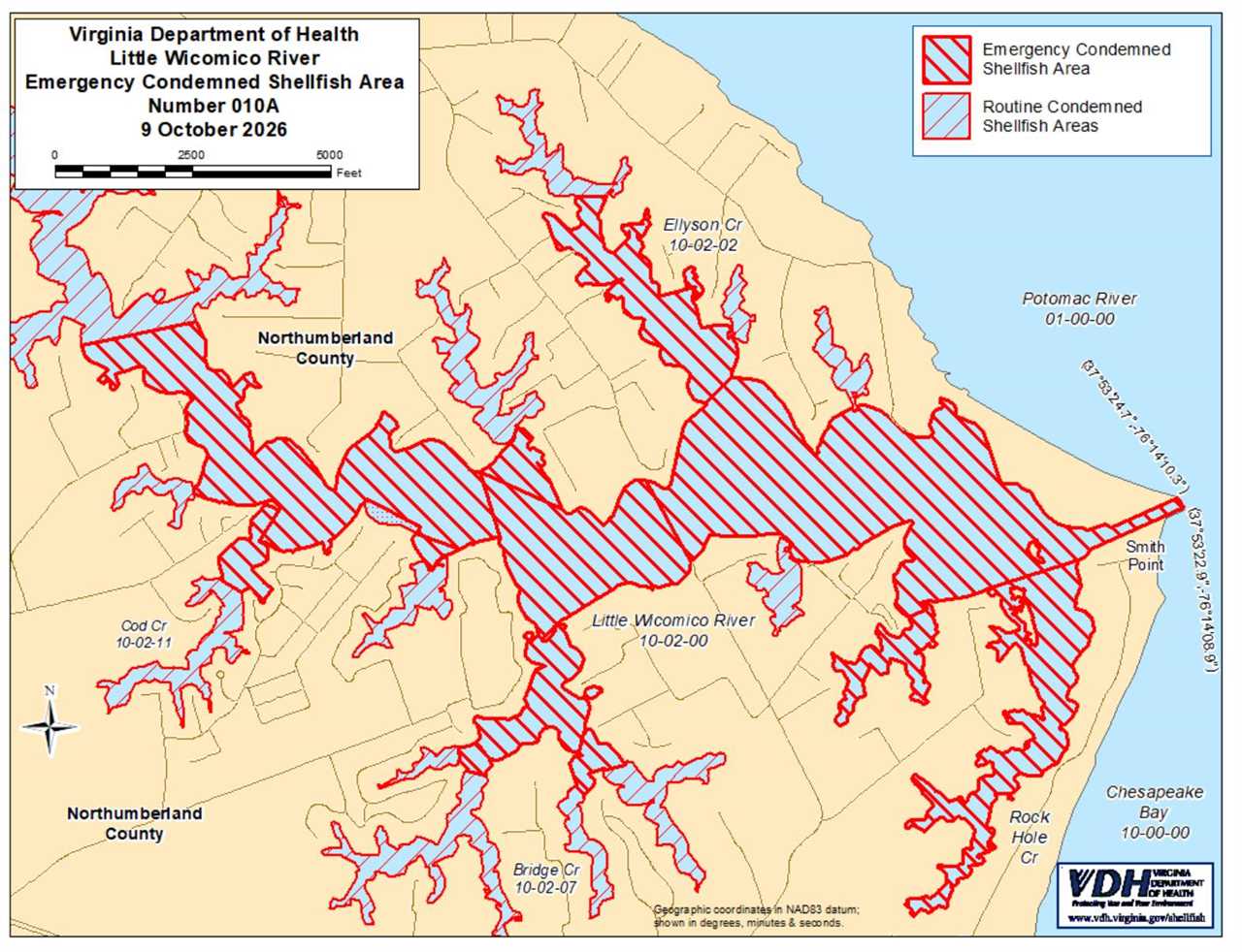 Oysters, clams linked to Salmonella outbreak; river closed to harvesting