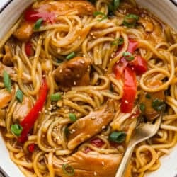 Slow Cooker Honey Garlic Chicken Noodles